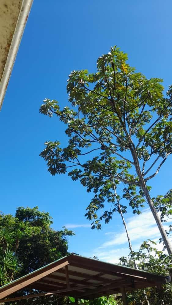 Corredores del Pacuare La Suiza Exterior foto
