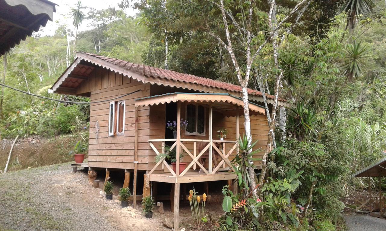 Corredores del Pacuare La Suiza Exterior foto